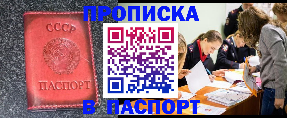 прописка для школы в Борзе